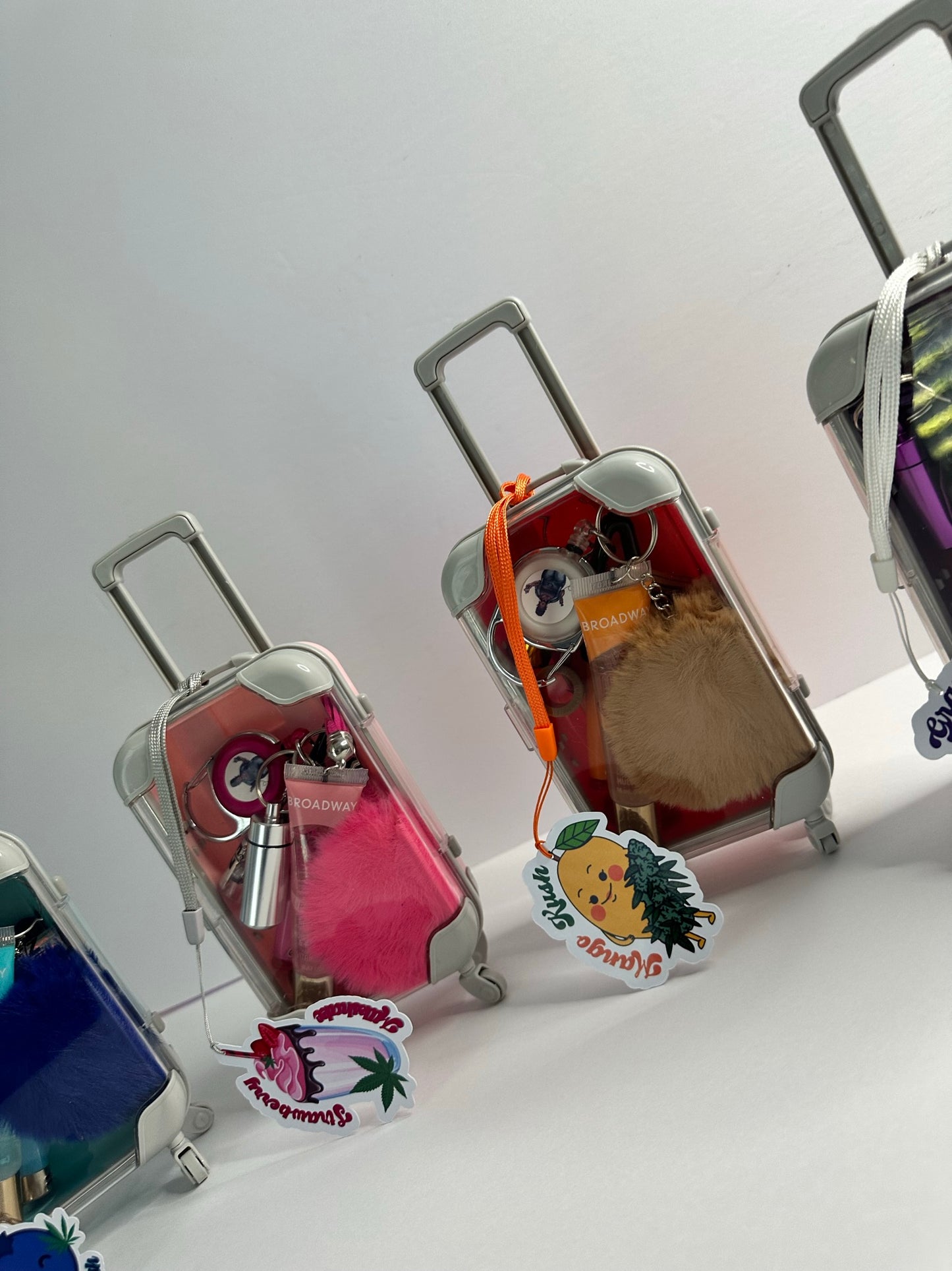 The Mary Jane Suitcase