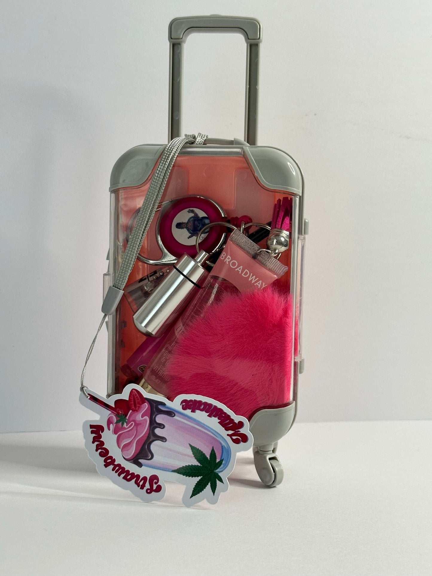 The Mary Jane Suitcase