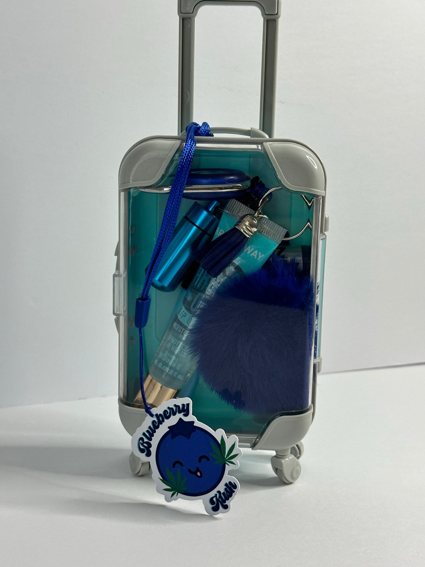 The Mary Jane Suitcase