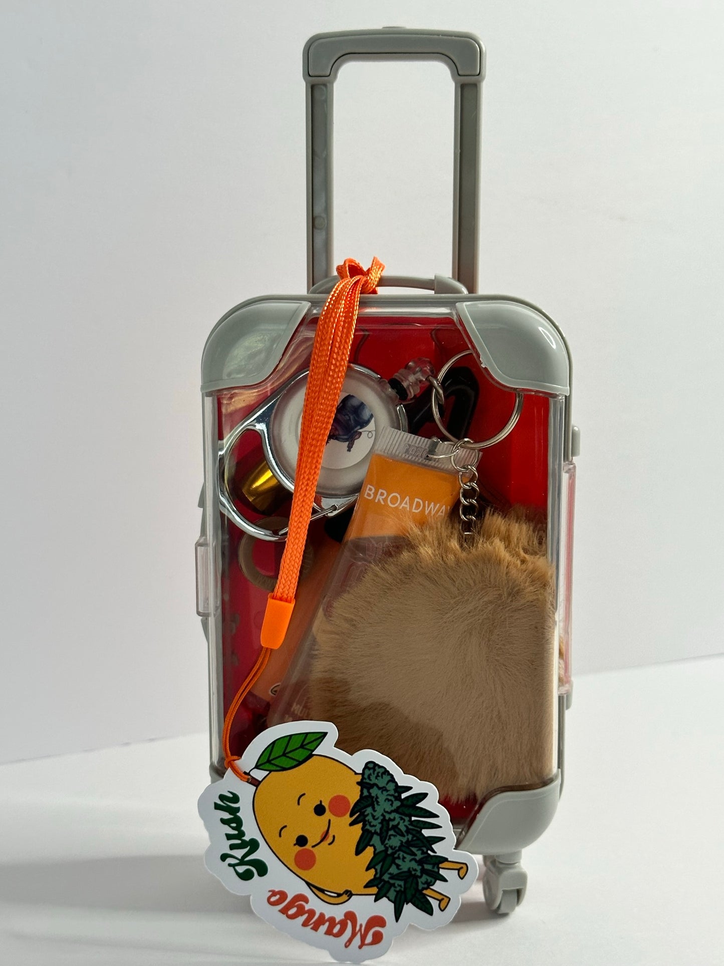 The Mary Jane Suitcase