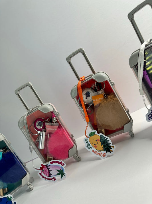 The Mary Jane Suitcase